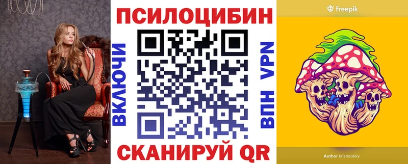 Псилоцибиновые грибы Cubensis  где продают наркотики  Кизляр 